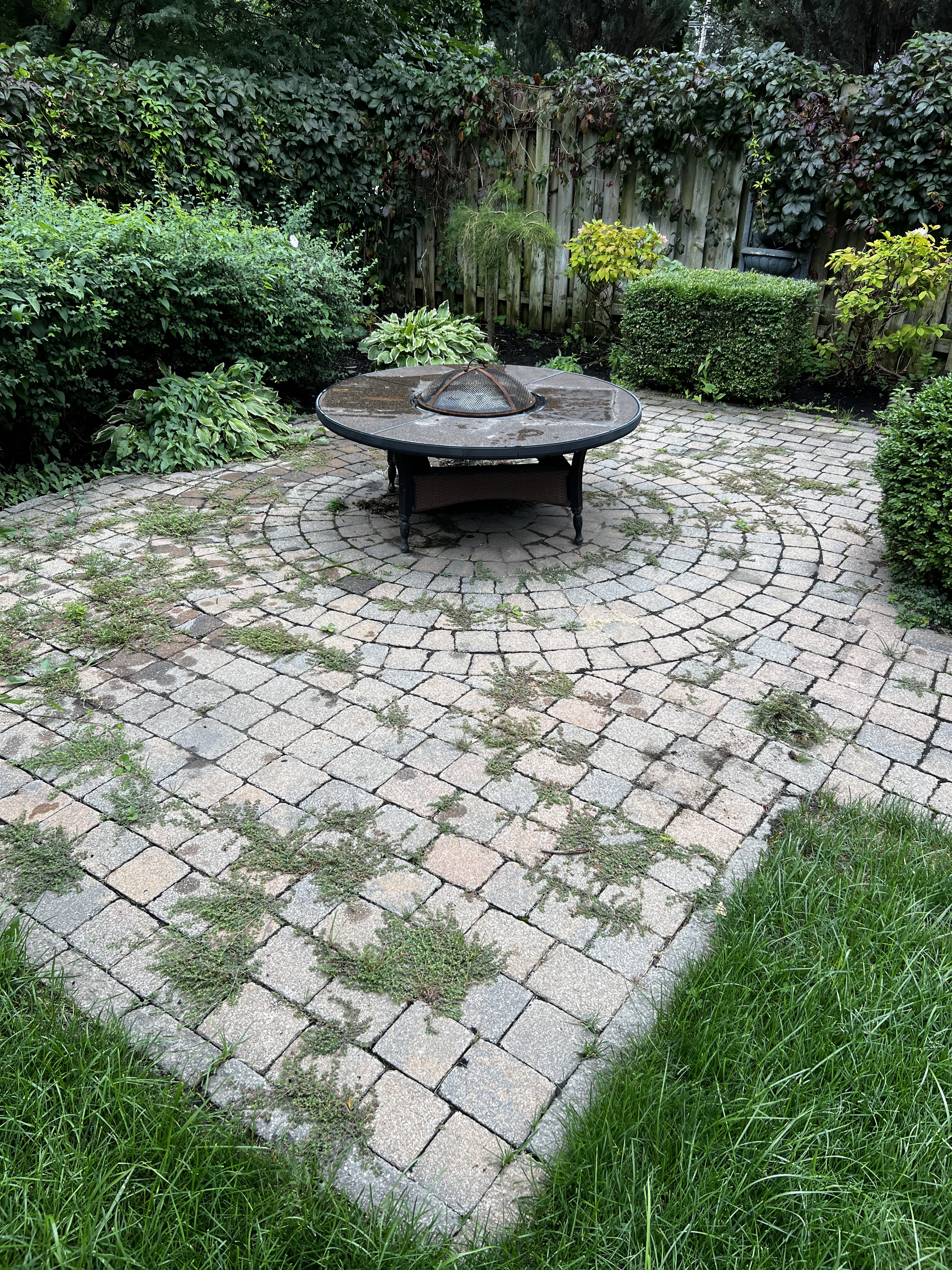Patio en pavé uni négligé avec mauvaises herbes et joints vides — Montréal, avant restauration